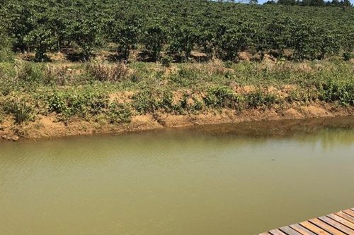 Bé gái đuối nước dưới hồ ở Lâm Đồng