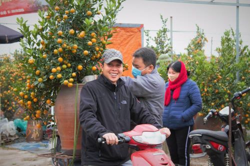 'Vương quốc' quất cảnh Thủ đô tất bật những ngày cận Tết
