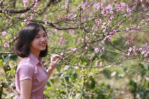 Người dân các tỉnh vùng cao được quyết mua bán, vận chuyển đào trồng
