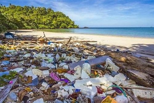 Phục hồi du lịch gắn với bảo vệ môi trường