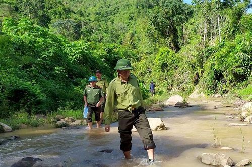 Bảo vệ rừng ở Mường Chà