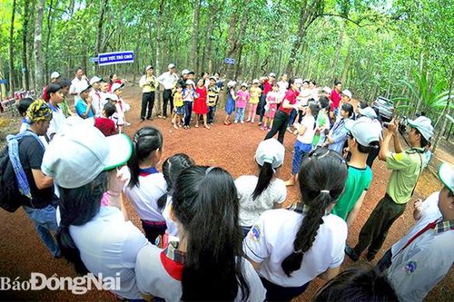 Chiến khu Đ trong văn học - nghệ thuật