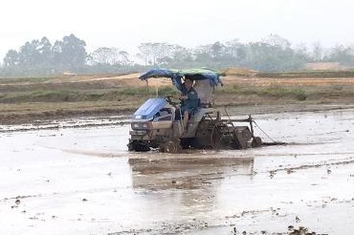 Để vụ Chiêm Xuân thắng lợi