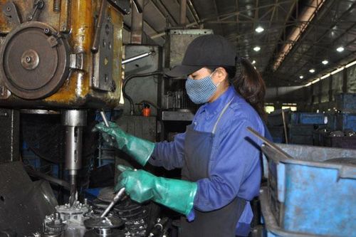 Triển khai kế hoạch phát triển kinh tế - xã hội năm 2021