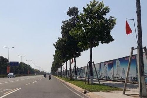 Vụ chuyển nhượng 43ha đất công: Khởi tố lãnh đạo TCT Bình Dương
