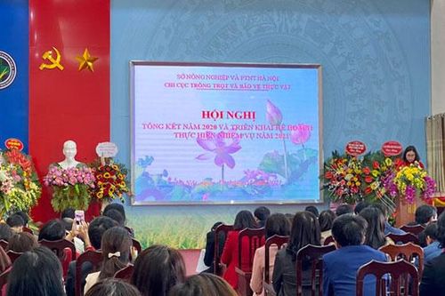 Kiểm tra 65 công ty và 988 cửa hàng sản xuất, kinh doanh vật tư nông nghiệp