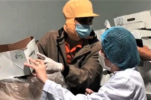 Truy vết thực phẩm bẩn