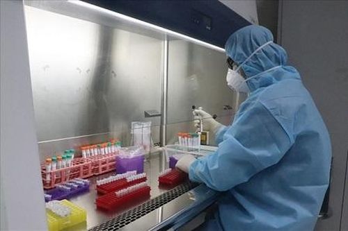 Nhiều nước phát hiện ra biến thể của SARS-CoV-2