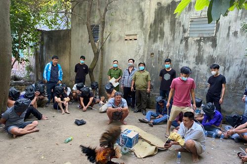Bắt giữ nhóm đối tượng đá gà ăn tiền ở Bình Dương