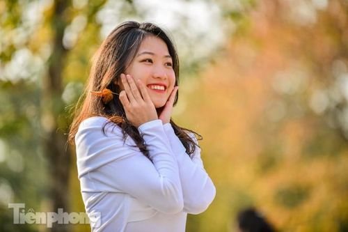 Thiếu nữ Hà thành khoe sắc bên hàng phong lá đỏ đẹp như xứ Hàn