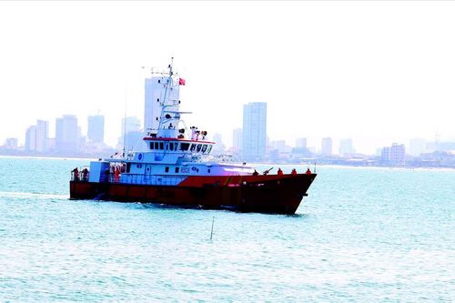 911 thương hiệu Việt