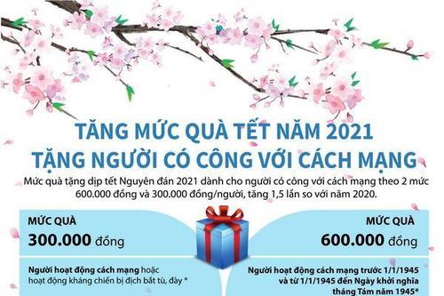 Tăng mức quà Tết năm 2021 tặng người có công với cách mạng