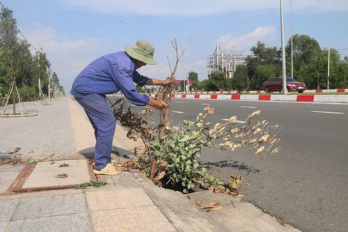 Hàng loạt cống thoát nước trên Quốc lộ 56 trơ hố sâu do bị tháo nắp