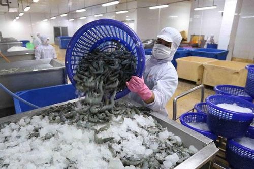 Chưa hết lo hàng xuất khẩu bị áp thuế