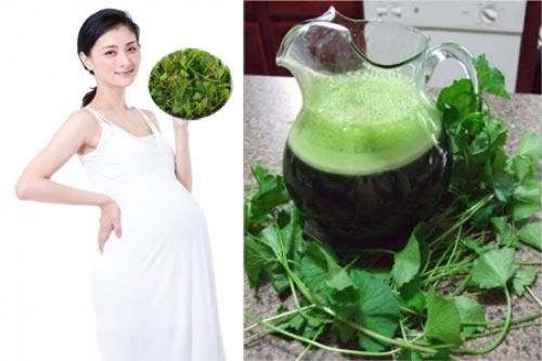 Những người không nên ăn rau má kẻo 'rước họa vào thân'