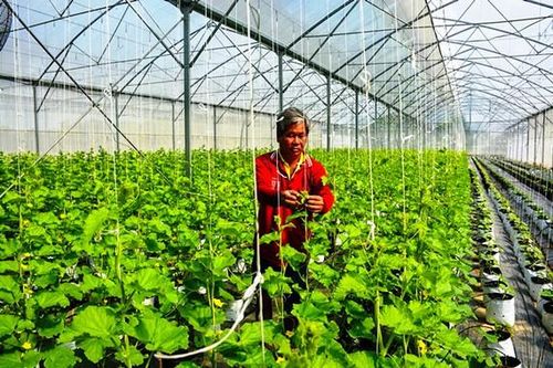 Hướng đến nền kinh tế tuần hoàn
