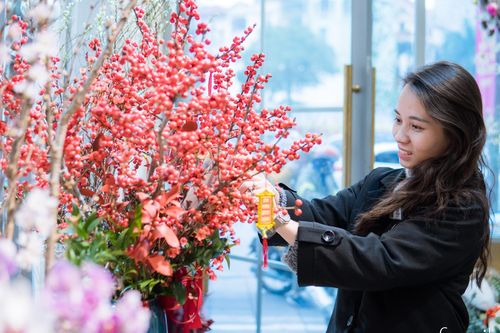 Cập nhật nhanh giá 6 loại hoa ngoại hot nhất trên thị trường