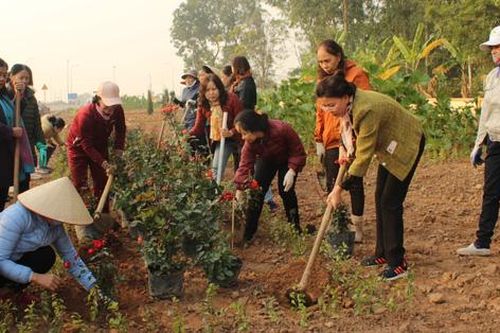 Phú Thọ: Xây dựng vườn hoa chào mừng Đại hội phụ nữ các cấp