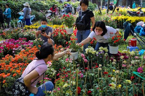 5 điều bạn cần phải biết để không bị lỗ vốn khi bán hoa ngày Tết