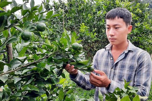 Đạ Tẻh mùa quả ngọt