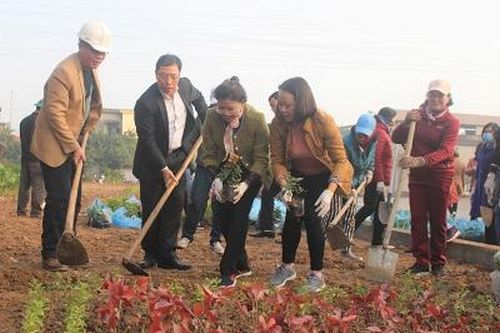 Ra quân xây dựng 'Vườn hoa phụ nữ'