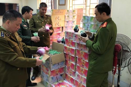 Gần Tết, thu giữ nhiều hàng hóa nhập lậu vào thị trường trong nước