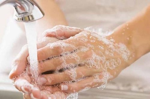 Làm gì khi bị chó cắn để không nguy hiểm đến tính mạng?