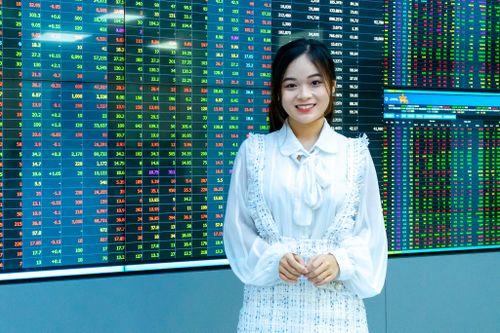 'Nhà đầu tư mới không nên hoảng loạn'