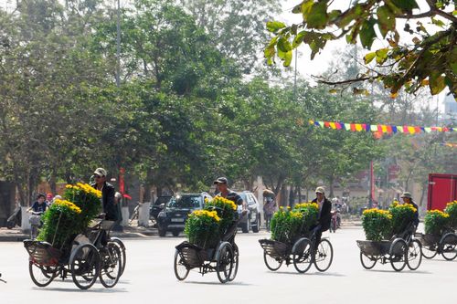 Lễ hội hoa quốc tế năm 2023 sẽ diễn ra tại Quảng Bình