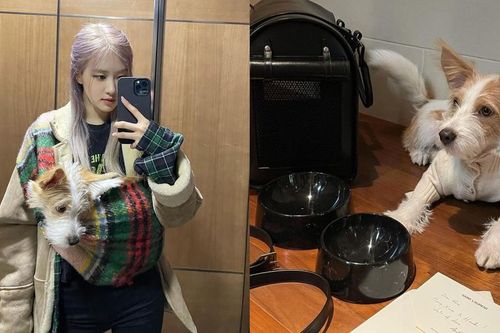 Netizen muốn xỉu khi nhìn vào kho đồ hiệu của chó cưng nhà Rosé: Giàu vậy ai chơi lại