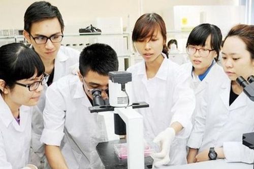 Phát triển nhóm nghiên cứu mạnh - cần 'bà đỡ'