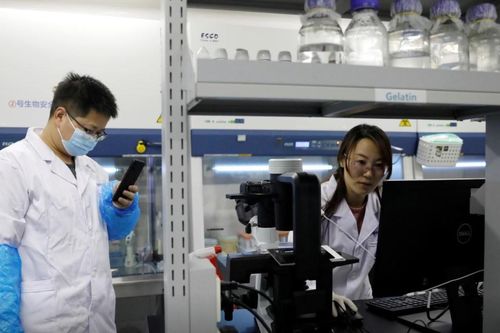 Các nhà khoa học Trung Quốc tìm được cách trì hoãn quá trình lão hóa