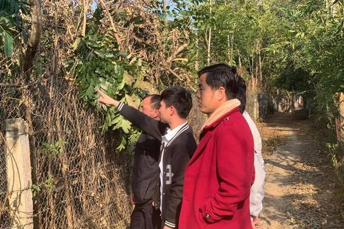 Dự án nghĩa trang gần ĐH Tây Bắc: Bộ GD&ĐT đề nghị UBND tỉnh Sơn La đánh giá tác động toàn diện