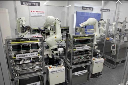 Nhật Bản sẽ dùng robot xét nghiệm COVID-19 tại Thế vận hội hè này