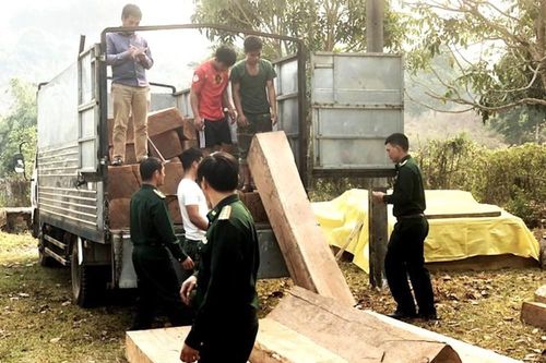 Rừng biên giới ở Kon Tum liên tục bị 'xẻ thịt'