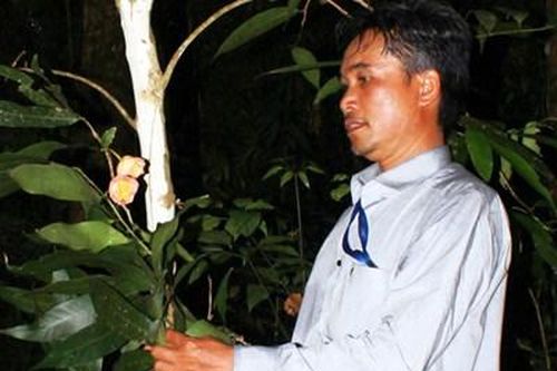 Phát hiện loài hoa Trà mi đặc hữu cực hiếm ở Vườn Quốc gia Bidoup-Núi Bà