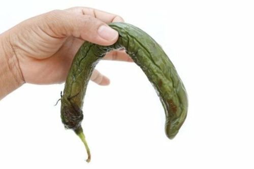 Cặp vợ chồng nhịn ân ái suốt 11 năm chỉ vì giấu bệnh