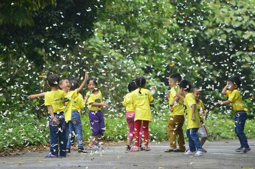 Hội Xuân Cúc Phương với chuỗi hoạt động trải nghiệm cùng thiên nhiên