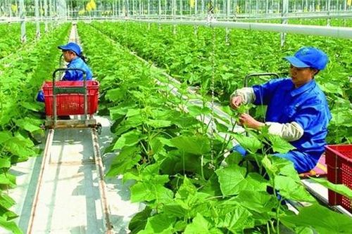 Cách mạng 4.0 đòi hỏi lao động Việt phải 'nâng cấp'