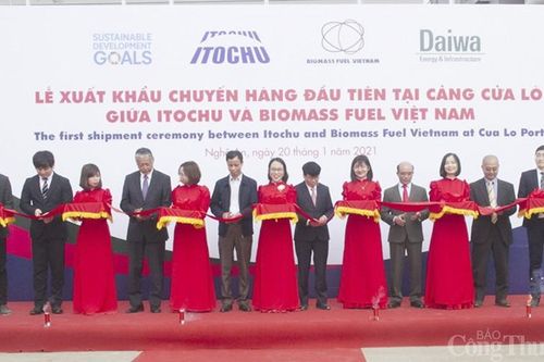 Xuất khẩu lô hàng viên nén gỗ sinh khối đầu tiên sang Nhật Bản