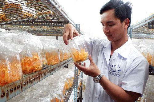 Đòn bẩy khoa học và công nghệ phục vụ phát triển nông nghiệp