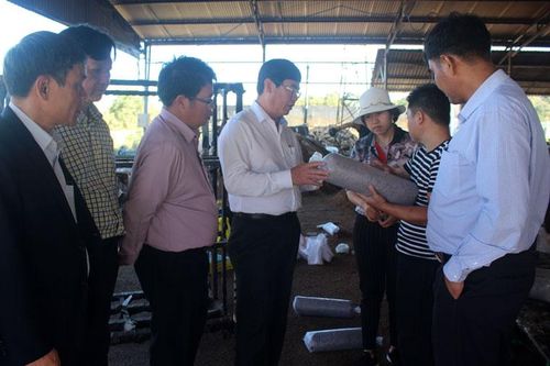 Phó Bí thư Thường trực Tỉnh ủy thăm mô hình trồng nấm tại Đức Trọng