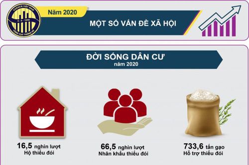 Infographic: Một số vấn đề xã hội năm 2020