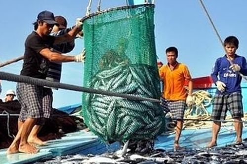 Nâng cao năng lực cho lao động di cư ngành đánh bắt và chế biến thủy sản ở Đông Nam Á