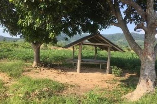 Ngăn vợ uống rượu không được, chồng lấy gậy đánh vợ tử vong