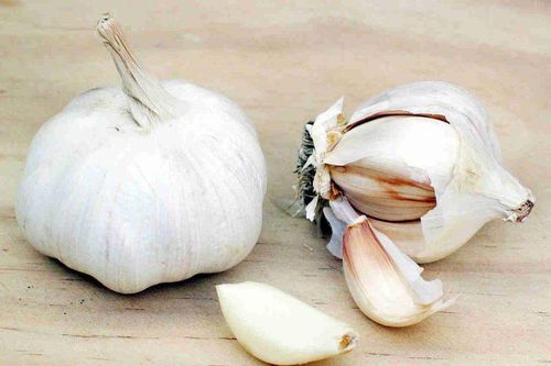 Điều gì xảy ra nếu ngày nào bạn cũng ăn tỏi?