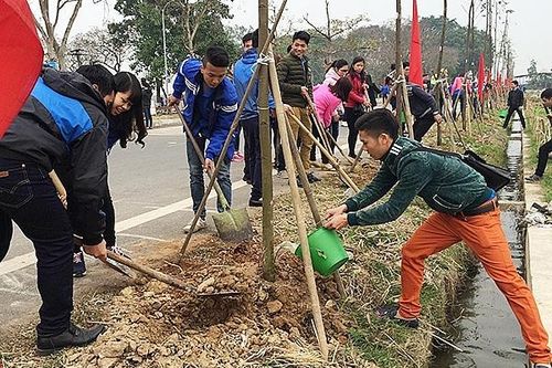 Hà Nội dự kiến trồng mới 408.804 cây xanh dịp đầu năm mới Tân Sửu