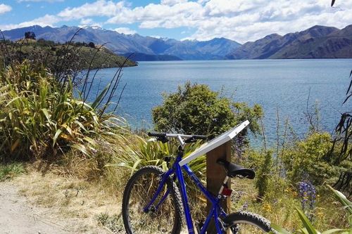 Bài dự thi cuộc thi 'New Zealand - Bật mí trăm điều thú vị': Mùa Hè thiên đường ở Auckland