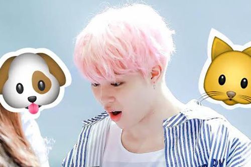 Tại sao Jimin BTS có biệt danh là 'Puppy Kitty'?