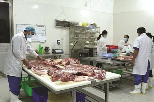 Cơ hội phát triển bền vững ngành chăn nuôi